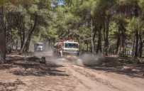 Kepez Belediyesi, Orman Yanginina Karsi Teyakkuzda Haberi