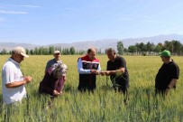 2024 Yili Bitkisel Üretim Destekleri Açiklandi Haberi