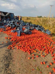 Adana'da Domates Yüklü Kamyonet Devrildi