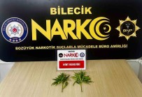 Bilecik'te Yakalanan Süphelinin Üzerinde Uyusturucu Madde Ele Geçirildi Haberi