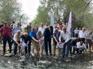 Devrekani Çayi'na 5 Bin Alabalik Salindi