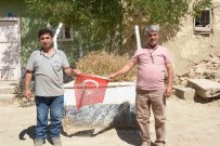 Evlerinin Avlusunda 103 Yillik Sehit Yatiyor Haberi