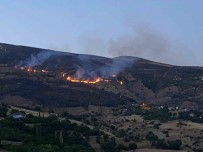 Itfaiye Erleri Yangindan Kurtardigi Kaplumbagaya Su Verdi