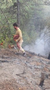Karabük Ovacik'taki Orman Yangini Kontrol Altina Alindi