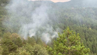Karabük'te Düsen Yildirim Orman Yangini Çikardi