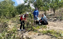 Kütahya'da Ahududu Üreticisi Kadinlar Bursa Tarim Isletmesinde Haberi