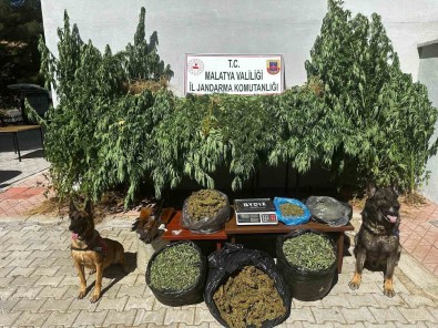 Malatya'da 11,5 Kilogram Kubar Esrar Ele Geçirildi Açiklamasi 2 Gözalti