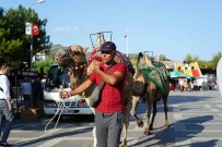 Nallihan'da Festival Coskusu Haberi