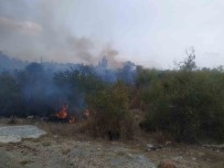 Osmaniye'de Makilik Alanda Çikan Yangin Söndürüldü
