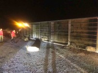 Tatvan'da Tir Devrildi Açiklamasi 63 Koyun Telef Oldu