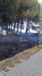 Yalova'da Mezarlik Yangini Haberi