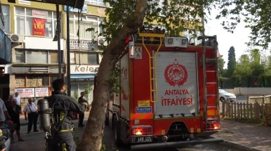 Yangin Ihbarina Giden Itfaiye Ekiplerinin Dar Sokak Ve Agaç Sinavi