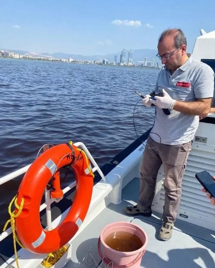 İzmir Körfezi'ndeki balık ölümlerine inceleme: Bakanlık açıkladı!