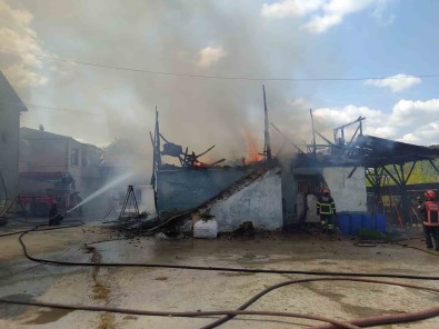 Ahir Alev Alev Yandi, Itfaiye Yangini Evlere Siçramadan Söndürdü