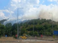 Bilecik'te Çikan Otluk Yangini Kontrol Altina Alindi Haberi
