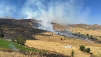 Bingöl'de 113 Yanginda 142 Hektarlik Alan Zarar Gördü Haberi