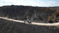 Bolu'da Söndürülen Yanginin Feci Boyutu Gün Agarinca Ortaya Çikti Haberi