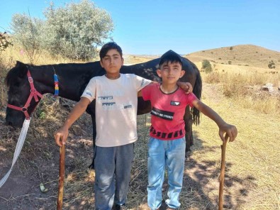 Bozkirin Minik Çobanlari, Biri Polis Digeri Sanayide Usta Olmak Istiyor