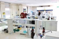 DENÇEV Örnek Basariya Imza Atti