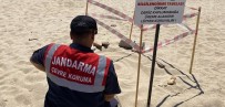 Edirne'de Kaplumbaga Üreme Alanlarina Denetim