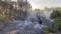 Gebze'de Ormanlik Alanda Yangin Çikti Haberi
