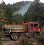 Ormanlik Alana Düsen Yildirim Yangina Neden Oldu Haberi