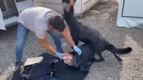 Samsun'da Bir Araçtan 572 Gram Metamfetamin Ele Geçirildi Haberi
