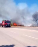 Agaçlik Alanda Çikan Yangin Itfaiye Tarafindan Söndürüldü Haberi