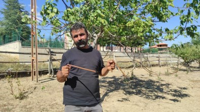 Bakir Çubuklarla Suyun Izini Sürüyor