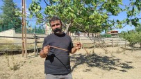 Bakir Çubuklarla Suyun Izini Sürüyor