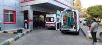 Havuza Düsen Minik Duru Yasam Savasini Kaybetti Haberi