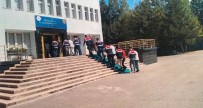 Jandarmadan PKK/KCK Operasyonu Haberi