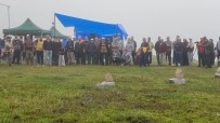 Koçdüzü Yaylasi'nda Festival Coskusu