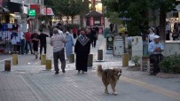 Kütahya Kredi Kullanimi Ve Batik Kredi Tutarinda 40. Sirada Haberi