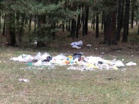 Piknikçiler Sarikamis Ormanini Çöplüge Çevirdi Haberi