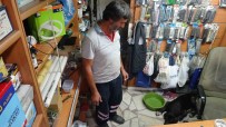 Sicaktan Bunalan Sokak Köpegi Klimali Isyerine Girerek Serinledi Haberi