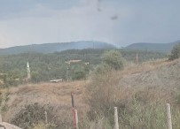 Tavsanli Tunçbilek'te Yildirim Düsmesi Sonucu Orman Yangini Haberi