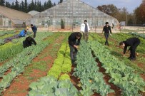 Türkiye'nin En Çok Tercih Edilen Ziraat Fakültesi AÜ'den Haberi
