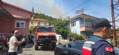 Zonguldak'ta Orman Yangini