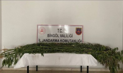 Bingöl'de Uyusturucu Madde Ele Geçirildi