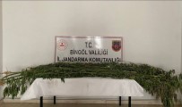 Bingöl'de Uyusturucu Madde Ele Geçirildi Haberi