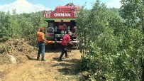Bingöl'deki Orman Yangini Erken Müdahaleyle Büyümeden Söndürüldü Haberi
