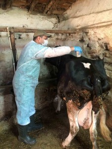 Eskisehir'de Ahir Ve Agilda Saglik Hizmeti Devam Ediyor