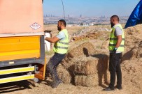 Gölbasi Belediyesi'nden Çiftçiye Bin Adet Saman Balyasi Haberi