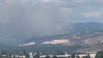 Iznik'te Korkutan Orman Yangini Haberi