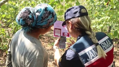 Jandarmadan Aile Içi Siddet Ile Mücadele Egitimi Açiklamasi Bir Ayda 735 Kisiye Egitim Verildi