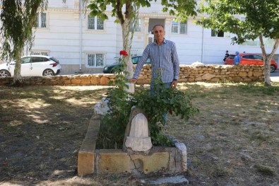 Sivas'taki Tek Mezar Sirrini Koruyor