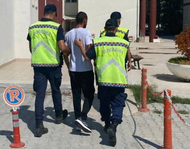 Yalova'da 181 Kök Hint Keneviri Ele Geçirildi Açiklamasi 1 Gözalti