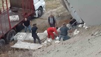 2 Bin 500 Canli Tavuk Yüklü Kamyon Viraji Alamayarak Devrildi Haberi
