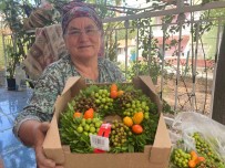 Avrupa'nin Noel Kutlamalarindaki Kapi Süsleri Burdur'dan Haberi